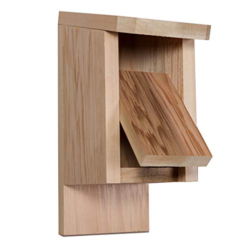 All Things Cedar BH12 Cedar Blue Jay Bird House All Things Cedar