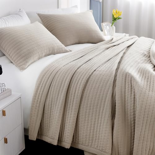 Oversized Queen Quilt Set–102"x106" Soft Washed 3-Layer Lightweight Bedspread with Multi-Lock Quilting,Minimalist Nordic Bedding,All-Season Quilt Set for Spring & Summer,(1 Quilt + 2 Shams), Oatmeal DAWNDIOR