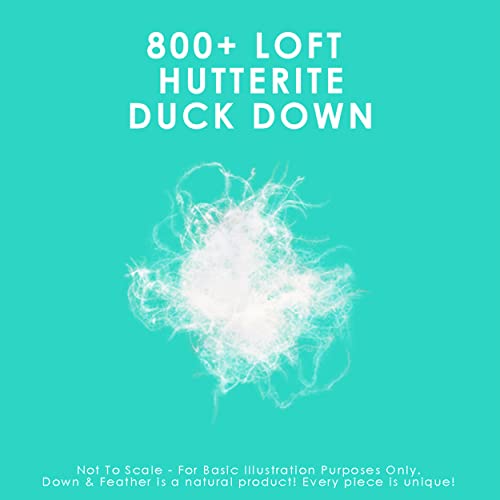 Canadian Down & Feather Co. - Regular Weight 800 Loft Canadian Hutterite White Down Duvet King Size - 500 TC Shell 100% Cotton - Made in Canada Canadian Down & Feather Company