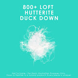 Canadian Down & Feather Co. - Regular Weight 800 Loft Canadian Hutterite White Down Duvet King Size - 500 TC Shell 100% Cotton - Made in Canada Canadian Down & Feather Company