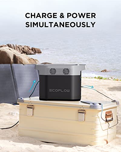 EF ECOFLOW Portable Power Station DELTA 1300, 1260Wh Solar Powered Generator with 6 x 1800W AC Outlets, Solar Generator(Solar Panel Optional) for Outdoor Camping - WoodArtSupply