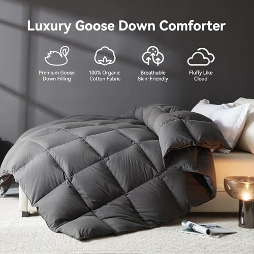 L LOVSOUL Goose Feather Down Fiber Comforter King Size, 100% Organic Cotton Fabric Duvet Insert,1200TC,750+Fill Power, Hotel Collection, All Season Grey Bedding Comforters with 8 Tabs L LOVSOUL