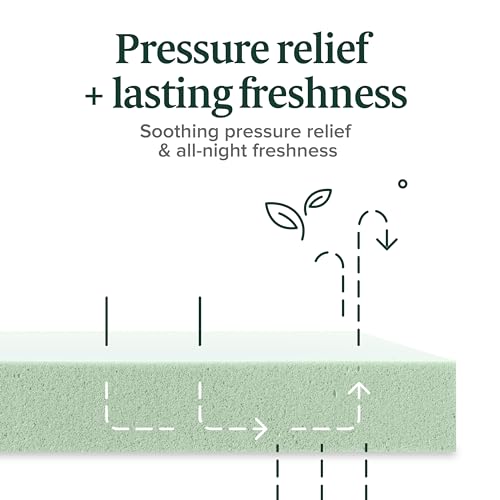 ZINUS 5 Inch Green Tea Memory Foam Mattress [New Version], Twin, Fiberglass free, Medium Firm Feel, Zoned Pressure Relief, Certified Safe Foams & Fabric, Mattress in A Box Zinus