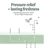 ZINUS 5 Inch Green Tea Memory Foam Mattress [New Version], Twin, Fiberglass free, Medium Firm Feel, Zoned Pressure Relief, Certified Safe Foams & Fabric, Mattress in A Box Zinus