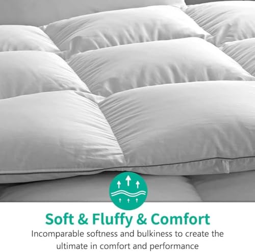 APSMILE Lightweight All-Season Down Feather Fibers Comforter Queen/Full Duvet Insert for Hot Sleepers/Warm Weather- Ultra-Soft High Fill-Power Hotel Collection Comforter, Thin Light Warmth(90"x90") APSMILE