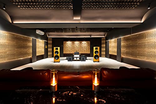 (2 Pack) — Sound Acoustic Studio Diffuser «Sirius» | 2D QRD | Diffusion - Reflection - Absorption - Soundproofing - Insulation | Wall Art Panel | (20"x20"x6" (50x50x15.3cm), Black) ua-acoustics