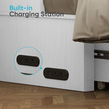 CECER Queen Size Murphy Bed with Storage & Charging Station,Multi-Functional Murphy Cabinet Bed with Mattress Included for Bedroom/Guest Room/Small Space,Easy Assembly -White CECER