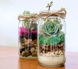 Portland Terrarium kit - DIY Mason Jar Terrarium Kit SuperMoss