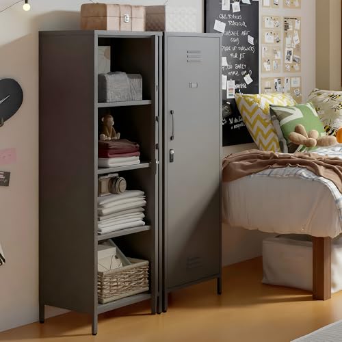 Epochsteele Metal Storage Cabinet Kitchen Pantry Cabinet for Bathroom Locking Storage Cabinet with Door and Removable Shelves (Black) Epochsteele