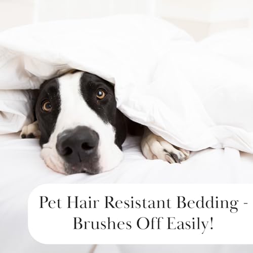 Southshore Fine Living, Inc. Vilano Plaid Collection - King Comforter Set, Premium Bedding, All-Season Down Alternative, Soft Coverlet, Oversized 3-Piece California King Size Comforter Set, Blue