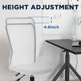 FDW Home Office Chair Mid Back Mesh Desk Chair Armless Computer Ergonomic Task Rolling Swivel Chair Back Support Adjustable Modern with Lumbar Support,White FDW