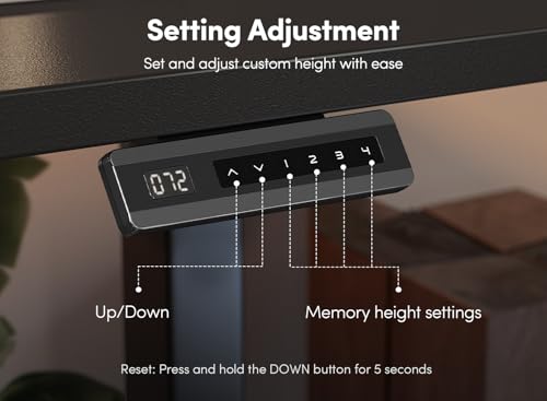 FEZIBO 40 x 24 Inch Height Adjustable Electric Standing Desk with Double Drawer, Computer Desk, Home Office Stand Up Table with 4 Height-Adjustable Feets & 2 Hooks, Black FEZIBO