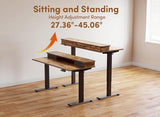 BANTI 55x24 Inch Electric Standing Desk with Dual Drawers, Height Adjustable Stand Up Table, Sit Stand Home Office Desk with Storage Shelf, Black Frame/Rustic Brown Top BANTI
