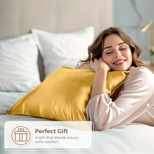 Pure Bedding Satin Pillowcase 2 Pack - King Size (20"x40", Gold) - Silky Pillow Cases for Hair and Skin - Satin Pillow Covers with Envelope Closure - Extra Soft Premium Microfiber Pure Bedding