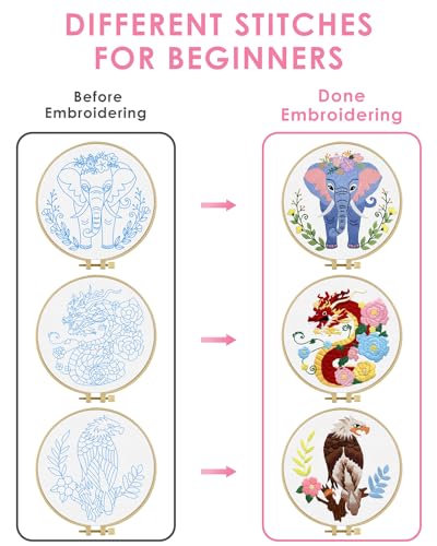 TINDTOP Embroidery Kit for Beginners Adult, Dragon Embroidery Kit for Beginners Include Embroidery Cloth Hoops Threads for Craft Lover Hand Stitch with Embroidery Skill Techniques TINDTOP