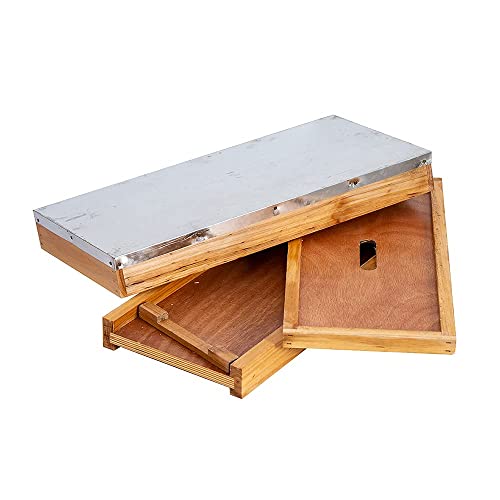 BeeCastle 5 Frame Bee Hive Nuc Box Coated with 100% Beeswax Includes Beehive Frames and Waxed Foundations BeeCastle