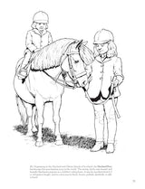 Big Book of Horses to Color (Dover Animal Coloring Books) Dover Publications