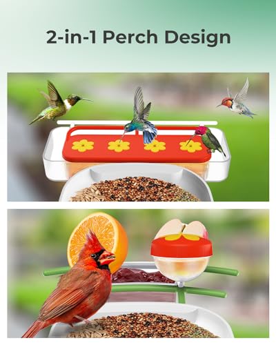 Smart Bird Feeder with Camera, 2-in-1 Bird Feeder Perch, 1080P HD AI Identify Hummingbird Feeder Camera, Auto Capture Bird Videos & Identify 10000+ - WoodArtSupply