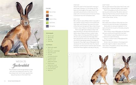 Wild Watercolor: Weekly Lessons and Techniques for Stunning Creations WoodArtSupply