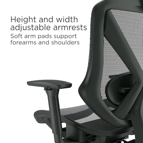 STAPLES Dexley Ergonomic Mesh Office Chair - Adjustable Height, Swivel Tilt, Lumbar Support, Black STAPLES