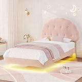 Decofy Cookie Twin Upholstered Bed Frame with LED Lights, Floating Bed Frames with Adjustable Headboard and Raised Footboard for Princess/Prince Bedroom, Teddy Velvet（Pink） Decofy