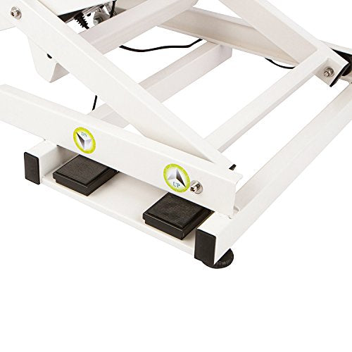 Flying Pig Heavy Duty Super-Low Electric Lift Dog Grooming Table