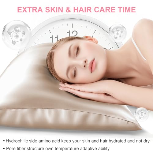 Mulberry Silk Pillow Cases 2 Pack Standard Size 20x26 Inches with Hidden Zipper, Ultra Smooth and Soft Breathable Cooling Silk Satin Pillowcase Set of 2, Better for Hair and Skin, Gifts for Women Men LYSHIN