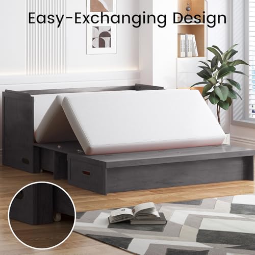 PUREMIND Murphy Bed Queen, Modern Murphy Cabinet Bed with USB Charging Station & Large Storage Drawer, Space-Saving Full Foldable Platform Bed for Guest Bedroom (Gray) PUREMIND