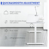 ERGOMAKER 43" Electric Standing Desk, Adjustable Height, Sit Stand Up Desk for Home Office & Computer Workstations, Memory Controller, White ERGOMAKER