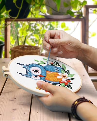 TINDTOP Embroidery Kit for Adults, Owl Embroidery Practice Kit for Adult Beginners Include Embroidery Cloth Hoops Threads for Craft Lover Hand Stitch with Embroidery Skill Techniques TINDTOP