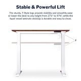 Vari Essential Electric Standing Desk for Home Office – 48x24 Sit-Stand VariDesk, 4 Memory Height Presets, 2-Piece Laminate Wood Top, Sturdy T-Style Legs, Supports 150 Lbs + Easy Assembly (Hazel Wood) Vari