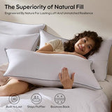 Swandream Goose Feather and Down Bed Pillow Standard Size Single Pack, Luxury 3-Chamber Pillows with Soft & Down-Proof Cover, Fluffy Plush Hotel Pillow for Side, Back & Stomach Sleepers Swandream