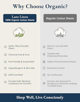 LANE LINEN 100% Organic Cotton Sheets Queen Size Bed Set, Machine Wash Eco Friendly Sustainably Produced Cotton Queen Sheet Set, Soft & Comfy Long Stabple Naturally Cooling Sheets– Mineral LANE LINEN