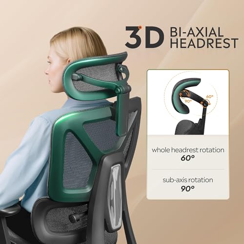 DEVAISE Ergonomic Mesh Office Desk Chair with a Footrest, Heavy Duty, High Back Reclining Swivel Comfy Home Computer Chair with Lumbar Support, SGS Class 4 Gas Lift, for Work Home Office, Black DEVAISE