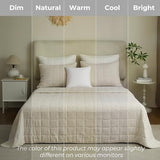 Powdion French Linen Quilt King, Pre-Washed Linen Front and Cotton Back European Comforter, Lightweight Breathable Cotton Quilt King Size for All Season, 3 Pcs Box Stitch Beige King Quilt Powdion