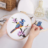 GLTAYLMY 3 Sets Embroidery Kit for Beginners Needlepoint Cross Stitch Kits for Adults,Stitch Learning DIY Kit with Easy Instruction,Stamped Bird Embroidery Patterns,Hoop,Threads,Sewing Hobby