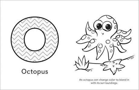 A Is for Animals!: Preschool Coloring Book Rockridge Press