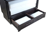 Emurphybed Daily Delight Murphy Cabinet Chest Bed with Charging Station & 6" Memory Foam Mattress, Queen (Java) Emurphybed