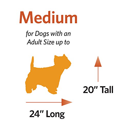 MidWest Homes for Pets Newly Enhanced Double Door iCrate Dog Crate, Includes Leak-Proof Pan, Floor Protecting Feet, Divider Panel & New Patented Features - WoodArtSupply