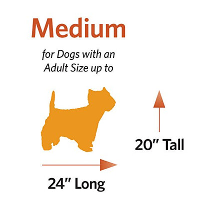 MidWest Homes for Pets Newly Enhanced Double Door iCrate Dog Crate, Includes Leak-Proof Pan, Floor Protecting Feet, Divider Panel & New Patented Features - WoodArtSupply