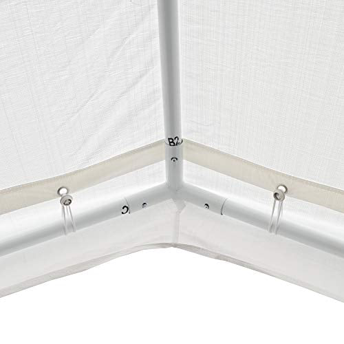 Caravan Canopy D2C20011 Domain Shelters Pro 200 10' x 20' Carport, Upgraded Version, White Caravan Canopy