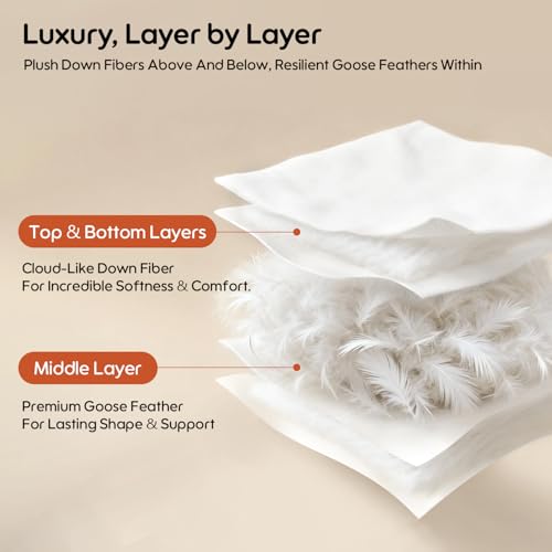 Swandream Goose Feather and Down Bed Pillow Standard Size Single Pack, Luxury 3-Chamber Pillows with Soft & Down-Proof Cover, Fluffy Plush Hotel Pillow for Side, Back & Stomach Sleepers Swandream