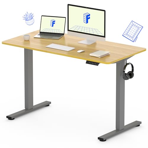 FLEXISPOT Height Adjustable Desk 48 x 30 inch Electric Standing Desk Whole-Piece Desk Board Stand Up Desk for Home Office (Gray Frame + 48" Natural Top) - WoodArtSupply