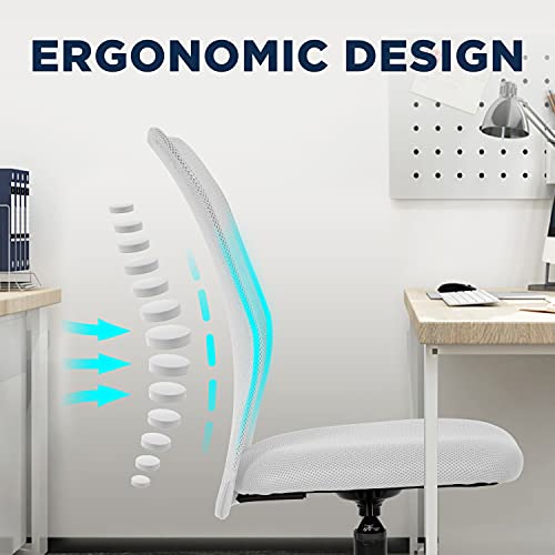 FDW Home Office Chair Mid Back Mesh Desk Chair Armless Computer Ergonomic Task Rolling Swivel Chair Back Support Adjustable Modern with Lumbar Support,White FDW