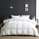 APSMILE Oversized King Luxury Organic Cotton All Season Down Feather Fibers Comforter, High Fill-Power Medium Warmth Duvet Insert (120x98, Ivory White) APSMILE