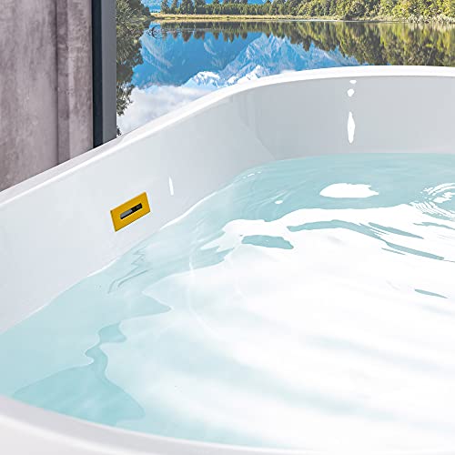 WOODBRIDGE 54" Acrylic Freestanding Bathtub Contemporary Soaking White Tub with Brushed Gold Overflow and Drain，BTA1702-BG WOODBRIDGE