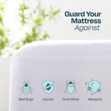 Linenspa Zippered Mattress Encasement – Twin Size Waterproof Mattress Protector – Quiet Cover & Complete protection – Dorm Room Essentials, White Linenspa