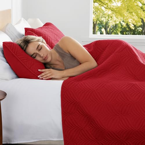 Whale Flotilla Extra Soft Twin Quilt Bedding Set, Lightweight Red Bedspreads Quilts Twin Size with Modern Pattern, Reversible 2-Piece Coverlet with 1 Pillow Shame for All Seasons Whale Flotilla