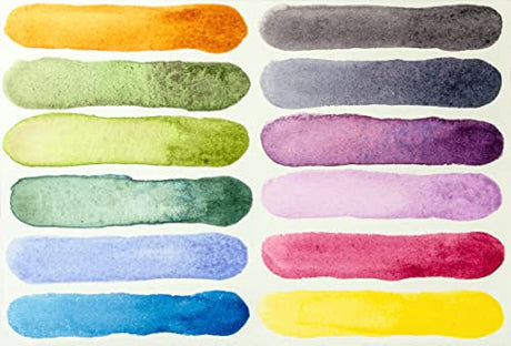 Daniel Smith 285650103 Extra Fine Inspirational Solid Watercolor Paint Set of 12 Half Pans, Metal Case and 12 Empty Containers DANIEL SMITH