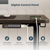 FitStand Adjustable Standing Desk, Large 79x31 Inches Standing Desk with Cable Management, Home Office Computer Desk with Memory Preset & Charging USB Port & Sedentary Reminder FitStand